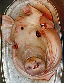 220px-Schweinekopf.jpg