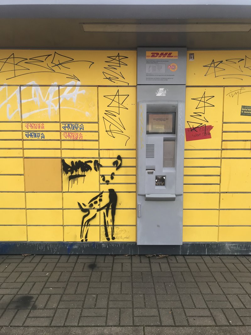 45245817pw.jpg