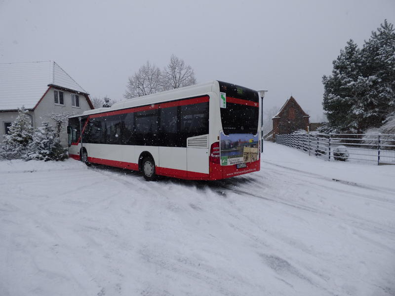 31727121is.jpg