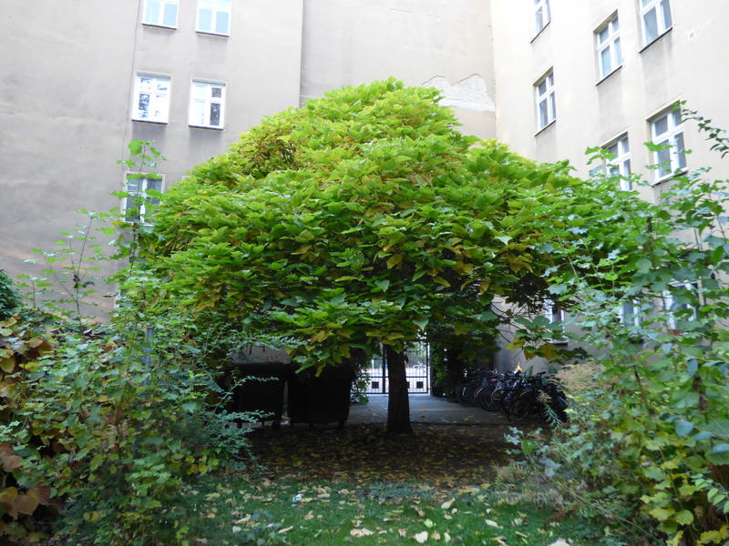 34100090lv.jpg