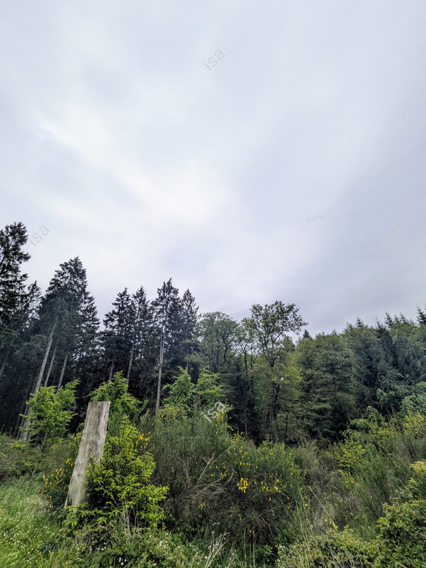 Photo-1779866649430.jpg