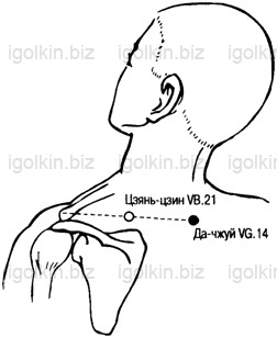 VB21.jpg