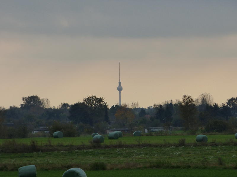 30655621vr.jpg