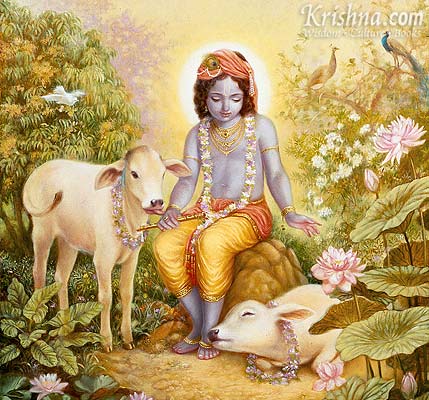 krsna2cow.jpg