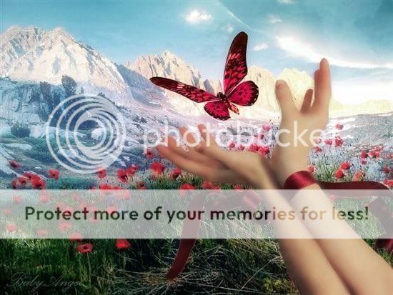 catchbutterfly.jpg