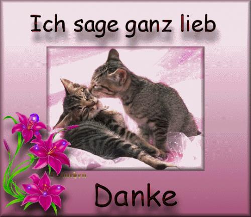 danke-14583.gif