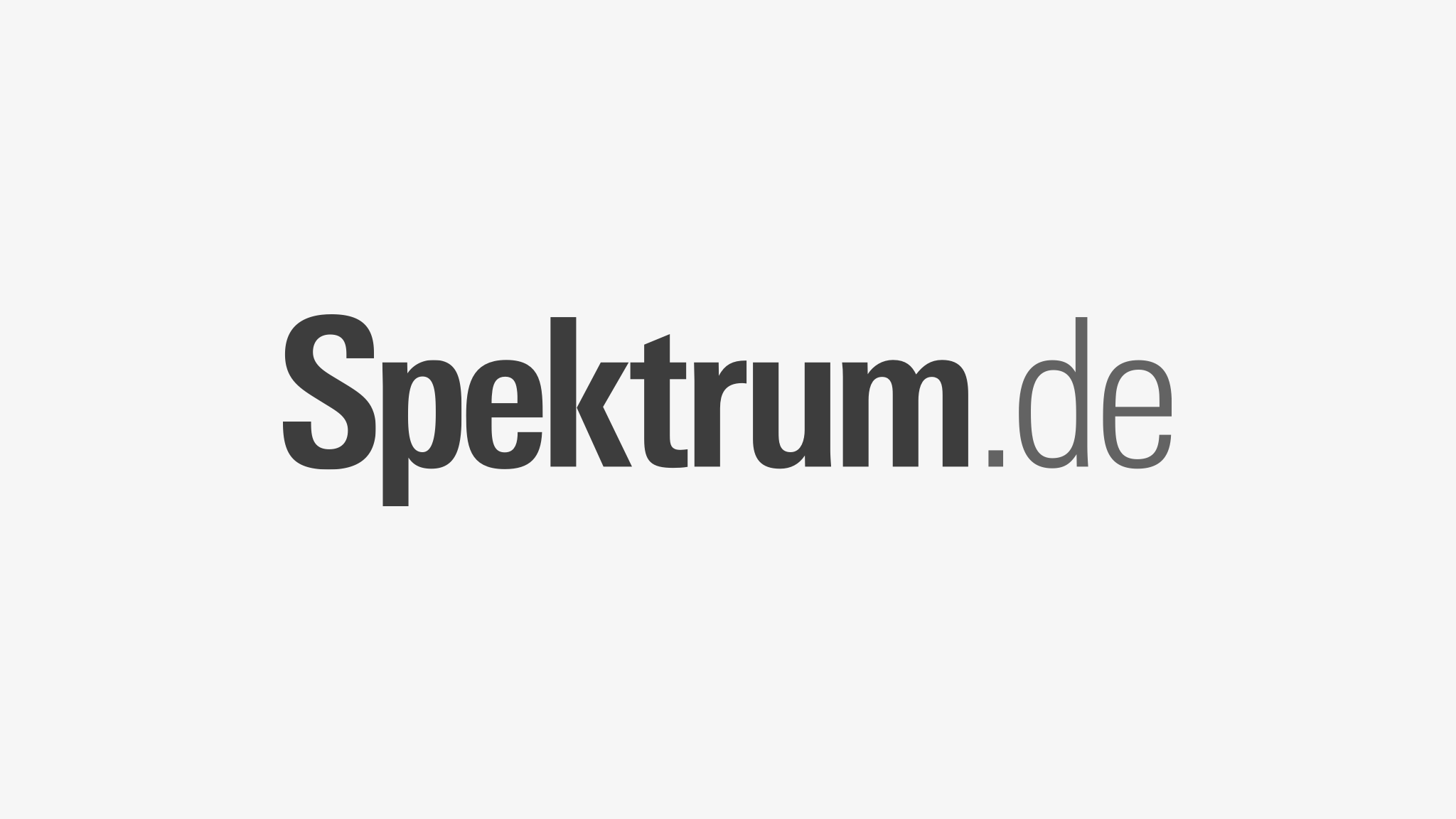 www.spektrum.de