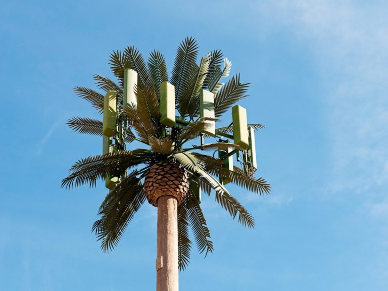 Massive-5G-Cell-Towers-Disguised-as-Trees-768x576.jpg
